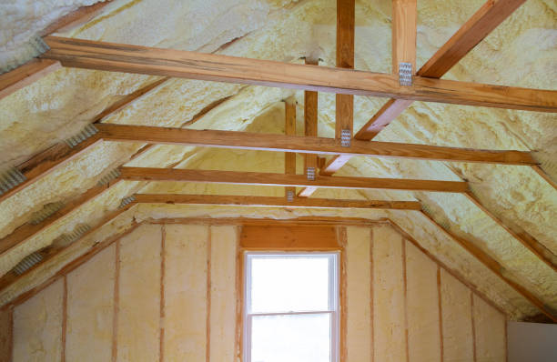 Best Wall Insulation Contractor  in Jackson, WY