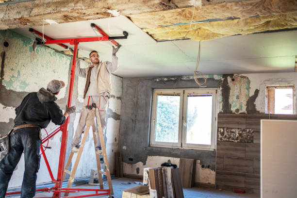 Insulation Repair Services in Jackson, WY