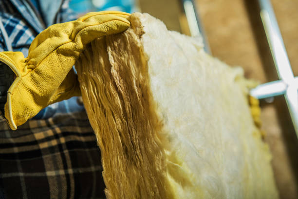 Insulation Replacement Services in Jackson, WY