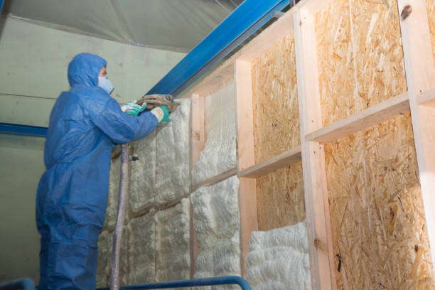 Best Cellulose Insulation  in Jackson, WY