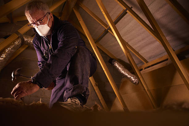 Best Local Insulation Services  in Jackson, WY